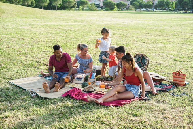 happy-families-having-fun-doing-picnic-at-park-out-2023-11-27-05-37-15-utc.jpg