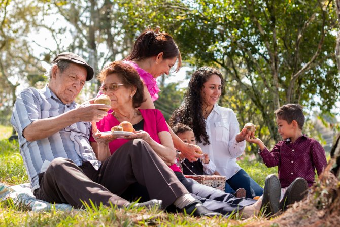 seniors-enjoying-a-family-day-in-the-countryside-w-2023-11-27-05-00-42-utc.jpg